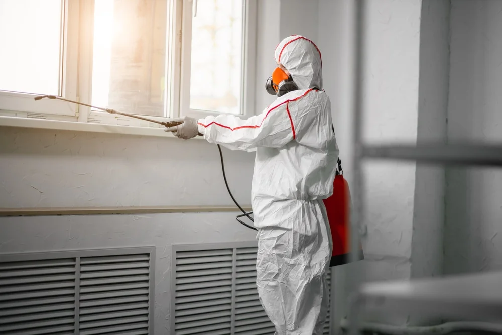 Professional mold remediation services in Caledonia, WI